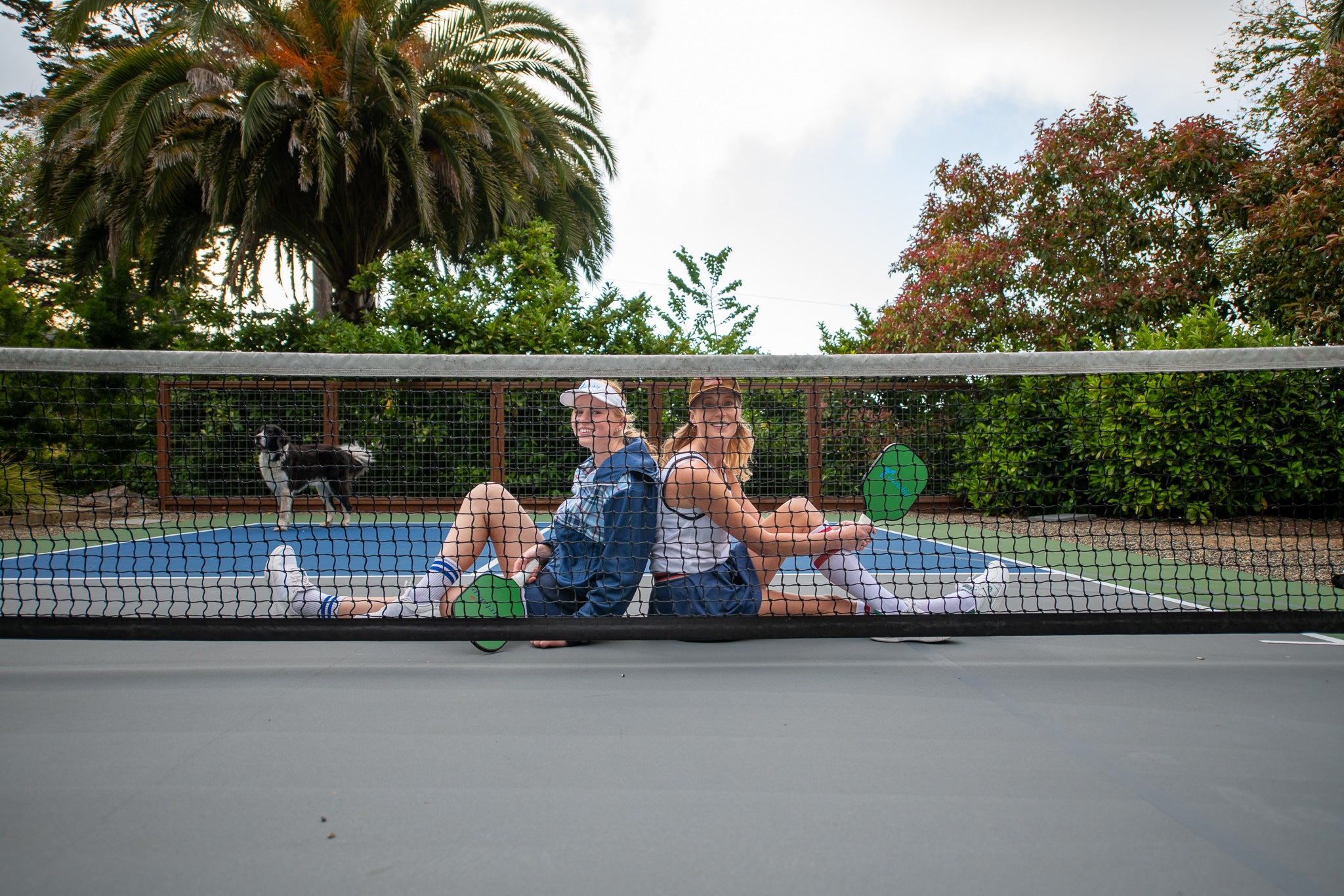 The Pickleball Collection